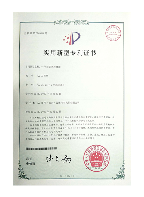 對夾蝶閥專利